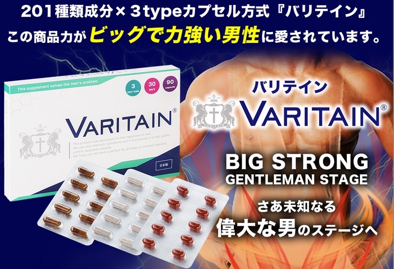 �o���e�C���@�j����������T�v�����T�C�g